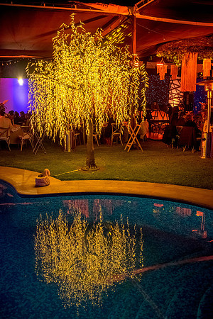 Andrea y Fabián Boda-532