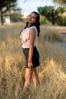 Paloma-6