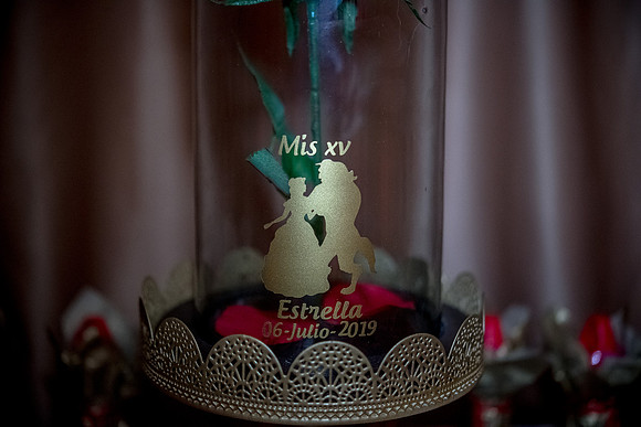 Estrella Dia de los Quinces-341