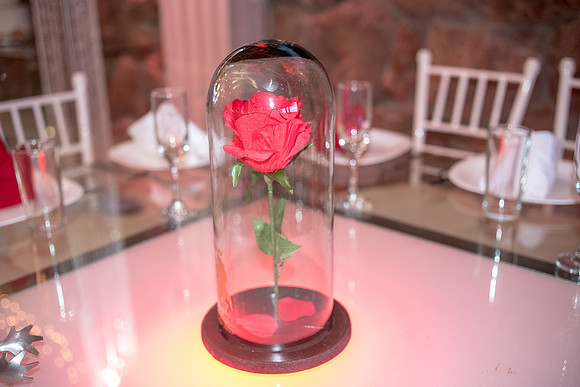 Estrella Dia de los Quinces-331