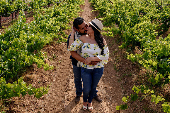 Mayra y Sergio Viñedos -45