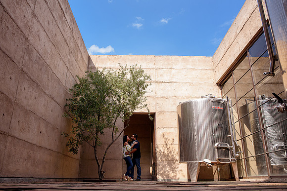 Mayra y Sergio Viñedos -36