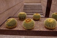Mayra y Sergio Viñedos-6