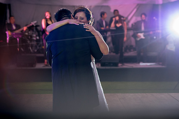 Luz y Luis Boda -423