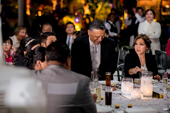 Luz y Luis Boda -395