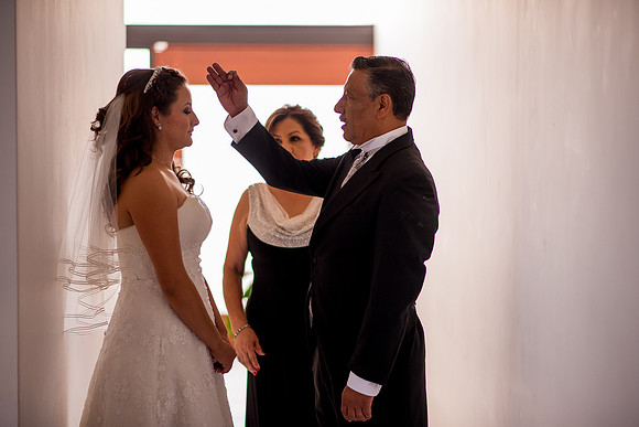 Luz y Luis Boda -85