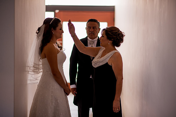 Luz y Luis Boda -83