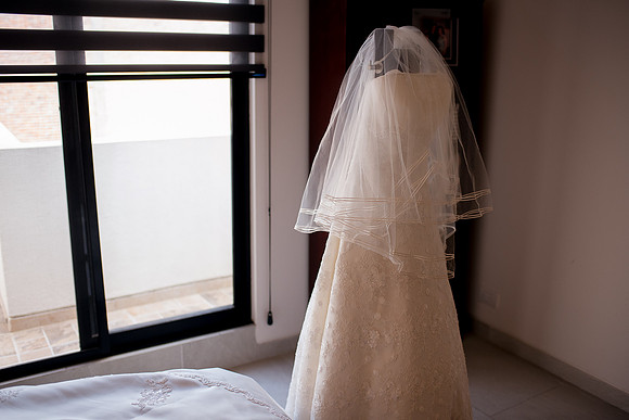 Luz y Luis Boda -7