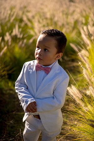 Roman 3 Años-24