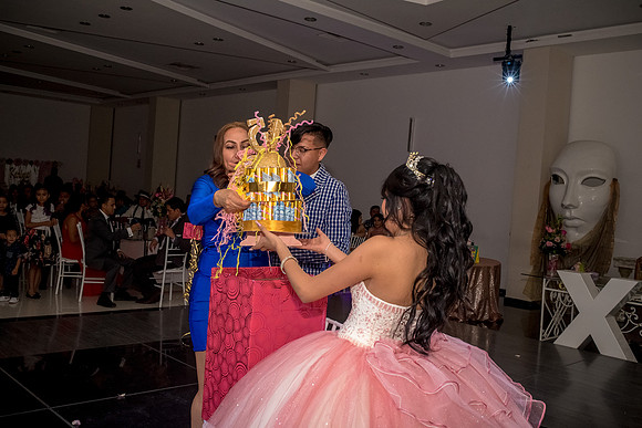 Karime Mis Quinces-208