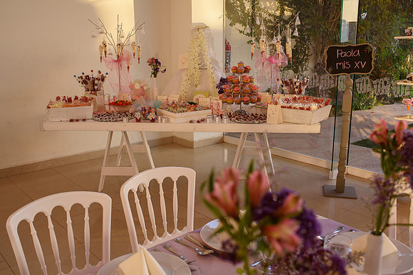 Paola Dia de los Quinces -129