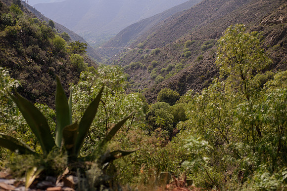Real de Catorce SLP Nury y Carlos-90