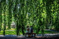 Boda Zel y Chris-9