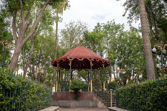 Tierra Nueva SLP Julio 2020-23