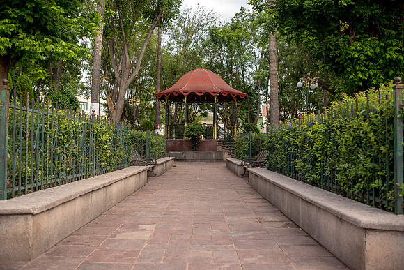 Tierra Nueva SLP Julio 2020-22