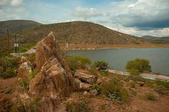 Tierra Nueva SLP Julio 2020-41