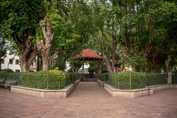 Tierra Nueva SLP Julio 2020-20