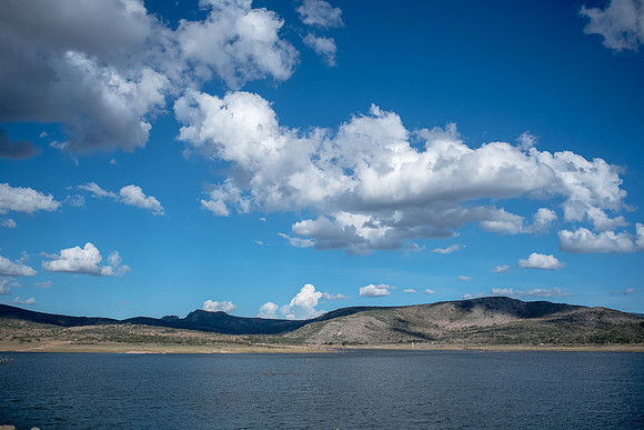 Tierra Nueva SLP Julio 2020-2
