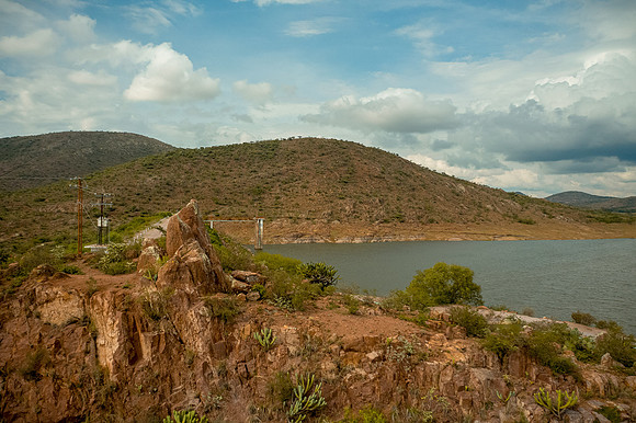 Tierra Nueva SLP Julio 2020-40
