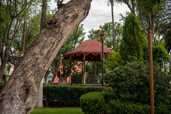 Tierra Nueva SLP Julio 2020-28