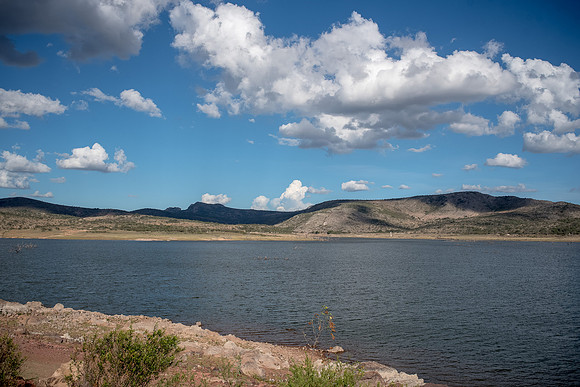 Tierra Nueva SLP Julio 2020-1