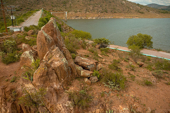 Tierra Nueva SLP Julio 2020-42