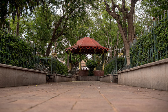 Tierra Nueva SLP Julio 2020-19