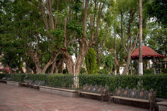 Tierra Nueva SLP Julio 2020-27