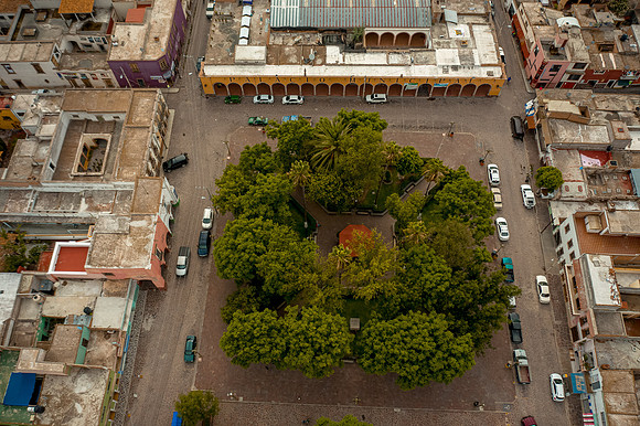 Tierra Nueva SLP Julio 2020-74