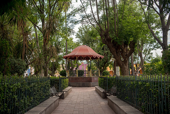 Tierra Nueva SLP Julio 2020-31