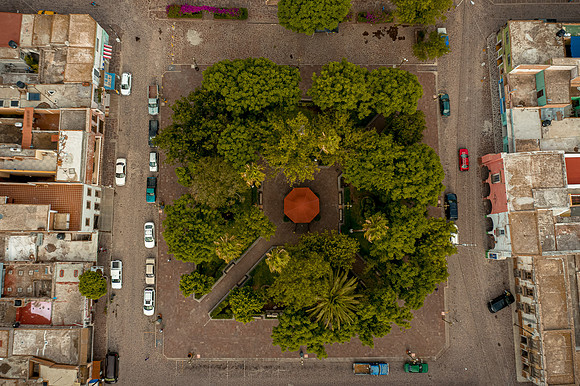 Tierra Nueva SLP Julio 2020-65