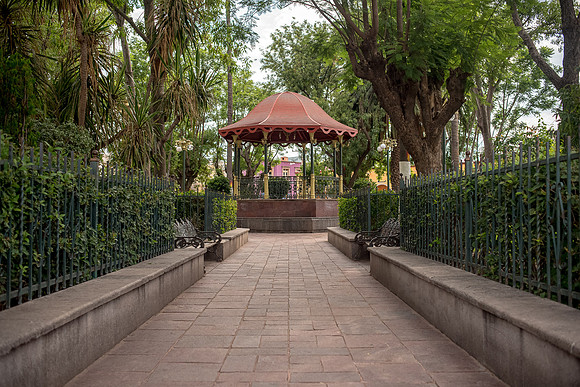 Tierra Nueva SLP Julio 2020-32