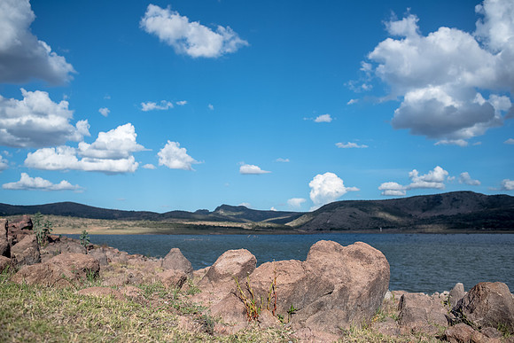 Tierra Nueva SLP Julio 2020-8