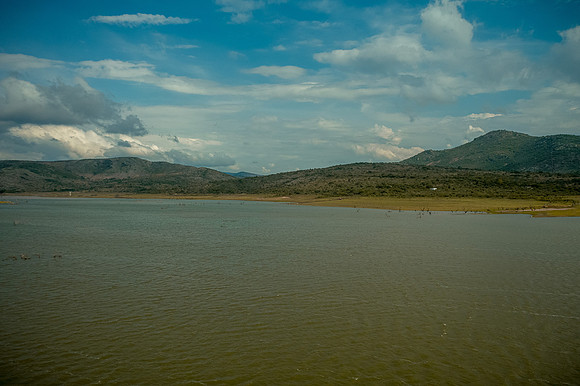 Tierra Nueva SLP Julio 2020-56