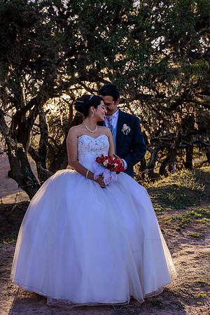 Alice y Miguel Boda-340