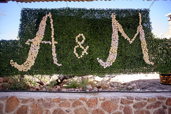 Alice y Miguel Boda-247