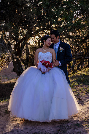 Alice y Miguel Boda-341