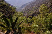 Real de Catorce SLP Nury y Carlos-90
