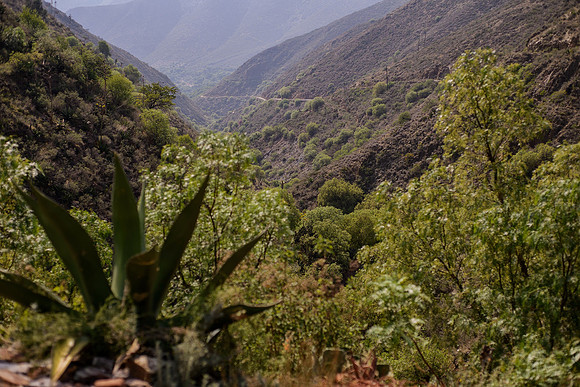 Real de Catorce SLP Nury y Carlos-90