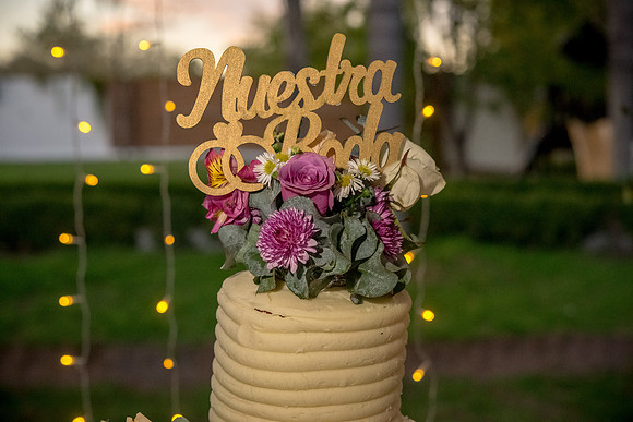 Silvia y Gerardo Boda-298