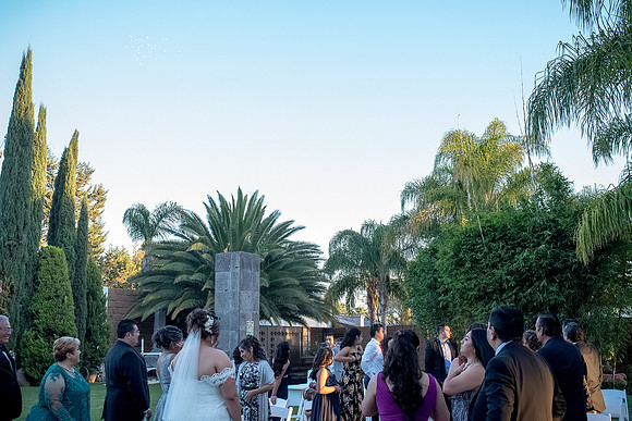 Silvia y Gerardo Boda-282