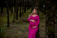 Carolina Mom to be-9
