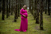Carolina Mom to be-12