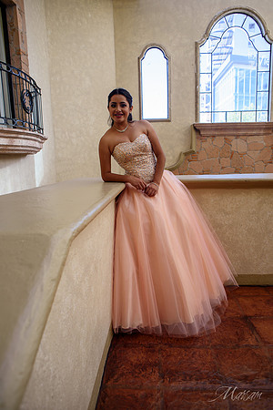Ammi Sesion Formal Hilton-35