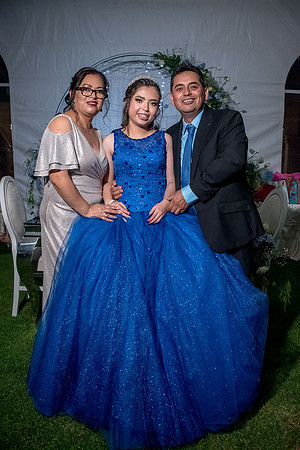 Marisol XV-329