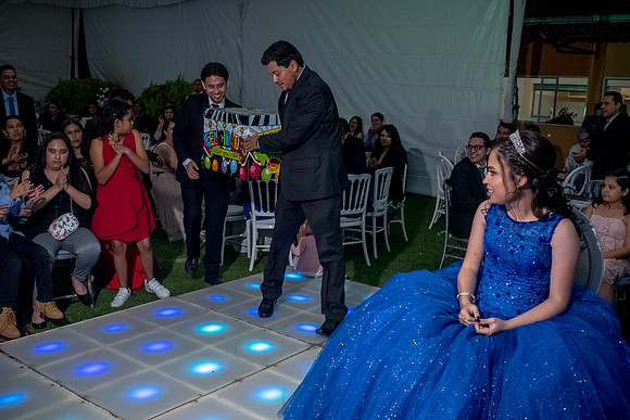 Marisol XV-229