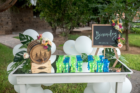 Fernanda y Roberto-367