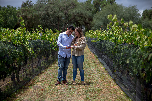 Sofi y Juanjo Pedida de Mano-201