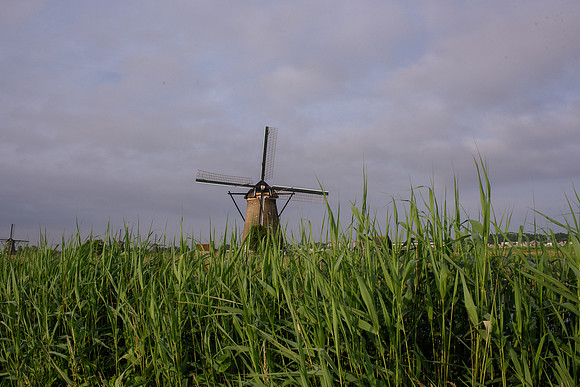 Kinderdijk Rosy Derk-11