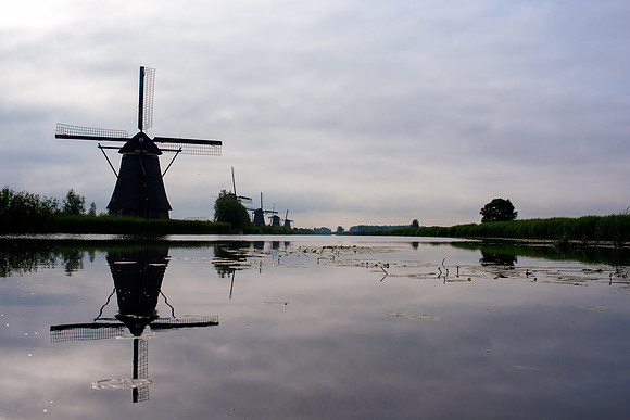 Kinderdijk Rosy Derk-45